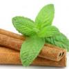 Flavor :  Cinnamint by Decadent Vapours