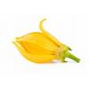 Flavor :  Ylang Ylang by Decadent Vapours