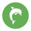 Flavor :  Olive Dolphin par DELISH FISH
