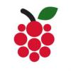 Flavor :  Raspberry by Delish Fish