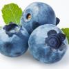 Flavor :  Blueberry par DELOSI