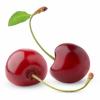 Flavor :  Cherry by Delosi