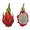 Flavor :  Dragon Fruit by Delosi
