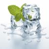 Flavor :  Ice Mint par DELOSI