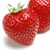 Flavor :  Strawberry by Delosi