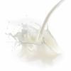 Flavor :  Sweet Cream by Delosi