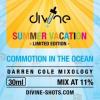 Flavor :  Commotion In The Ocean by Divine