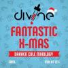 Flavor :  Fantastic X Mas par DIVINE