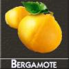 Arôme : Bergamote
Dernière mise à jour le : 27-01-2015 Arôme : Bergamote
Dernière mise à jour le : 27-01-2015