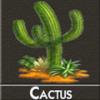 Flavor : cactus by DIY and Vap Flavor : cactus by DIY and Vap