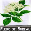 Flavor :  Fleur De Sureau by DIY and Vap