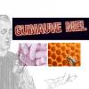 Flavor :  Guimauve Miel by DIY and Vap