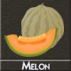 Flavor :  melon by DIY and Vap