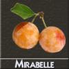 Arôme : Mirabelle
Dernière mise à jour le : 07-03-2016 Arôme : Mirabelle
Dernière mise à jour le : 07-03-2016