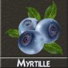 Arôme : Myrtille
Dernière mise à jour le : 01-08-2016 Arôme : Myrtille
Dernière mise à jour le : 01-08-2016