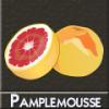 Flavor :  pamplemouse by DIY and Vap