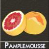 Arme :  pamplemouse par DIY and Vap