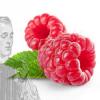 Flavor :  Sc Framboise by DIY and Vap
