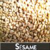 Arôme : Sesame
Dernière mise à jour le : 09-08-2014 Arôme : Sesame
Dernière mise à jour le : 09-08-2014