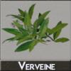 Flavor : verveine by DIY and Vap Flavor : verveine by DIY and Vap