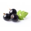 Flavor :  Cassis par E-CETERA