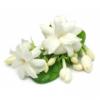 Flavor :  Jasmin by E-cetera