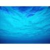 Flavor :  Menthe Bleue by E-cetera