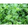Flavor : Menthe Verte par E-CETERA Flavor : Menthe Verte par E-CETERA