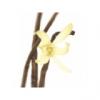 Flavor : vanille classique by E-cetera Flavor : vanille classique by E-cetera