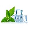 Flavor :  Menthol by E-Rauchershop