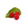 Flavor :  Walderdbeere by E-Rauchershop