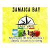 Flavor :  N 41 Jamaica Bay by Easy Vape