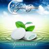 Flavor :  Spearmint by Elegans Ejuice