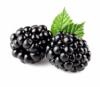 Flavor :  Blackberry by Elli's