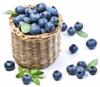 Flavor :  Blueberry Bilberry by Elli's