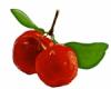 Flavor :  Cherry Arcerola by Elli's