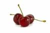 Flavor :  Cherry Morello par ELLI'S