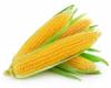 Flavor :  Corn by Elli's