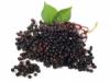 Flavor :  Elderberry by Elli's