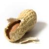 Flavor :  Erdnuss by Elli's