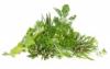 Flavor :  Herbs by Elli's