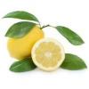 Flavor :  Lemon Dream by Elli's