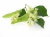 Flavor :  Lime Flowering by Elli's