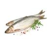 Flavor :  Luttjes Fischkopp by Elli's