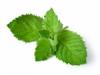 Flavor :  Mint by Elli's