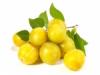 Flavor :  Mirabelle Plum by Elli's