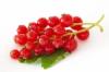 Flavor :  Redcurrant by Elli's