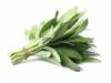 Flavor :  Sage by Elli's
