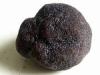 Flavor :  Truffle by Elli's