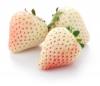 Flavor :  White Strawberry by Elli's